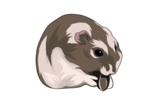 Animal Illustration: Bringing Life to Your Creative Projects