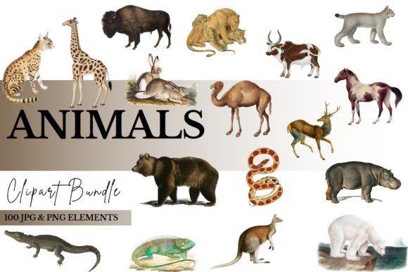 Your Ultimate Animal Clipart Bundle: 100 Files for Every Project